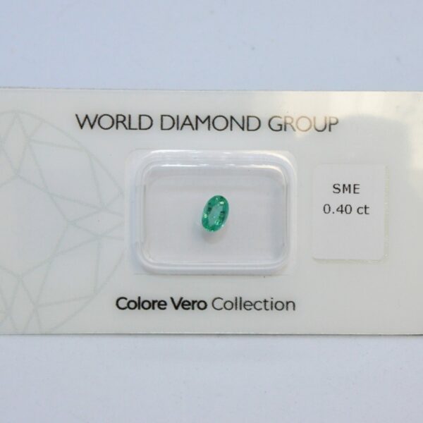 Smeraldo certificato WORLD DIAMOND GROUP WL01426