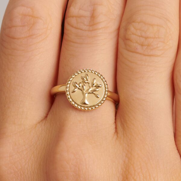 Anello donna BROSWAY BHKR002C - immagine 2