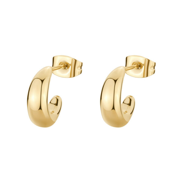 Orecchini Brosway Essential BNL106