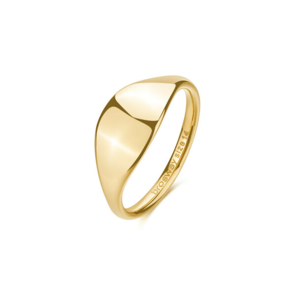 Anello Brosway Essential BNL120E