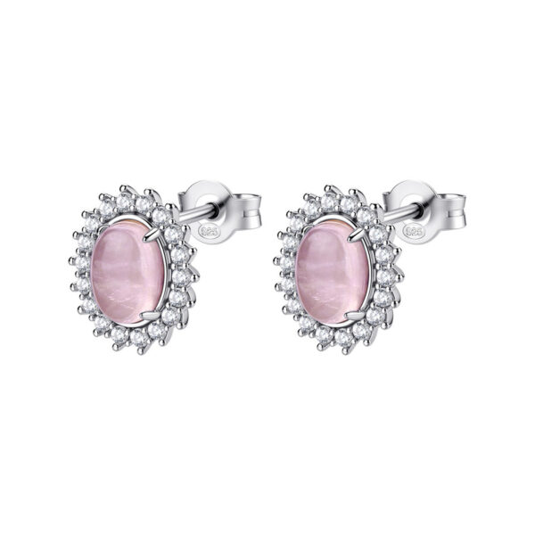 Orecchini Brosway Fancy - Vibrant Pink FVP123