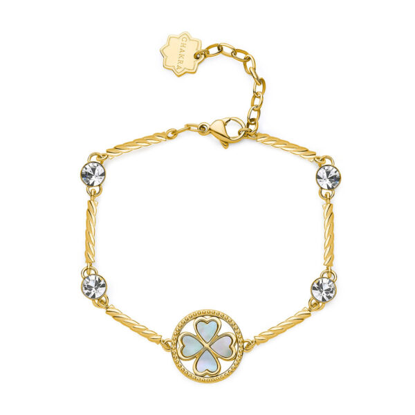Bracciale CHAKRA PORTAFORTUNA Brosway BHKB152