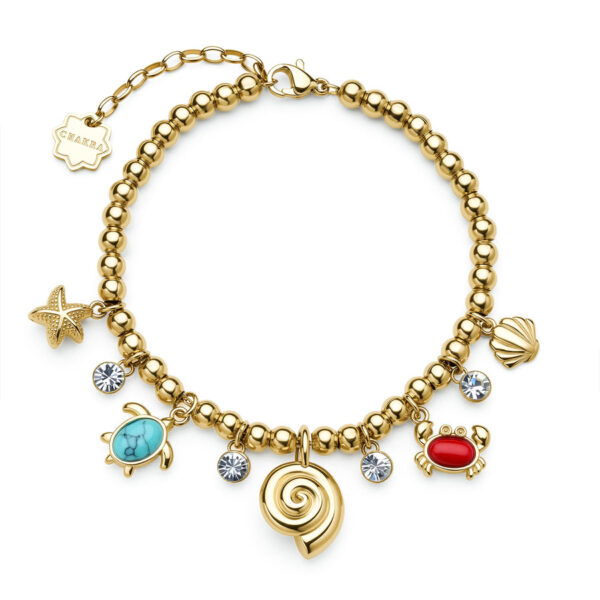 Bracciale CHAKRA VIAGGI Brosway BHKLE12